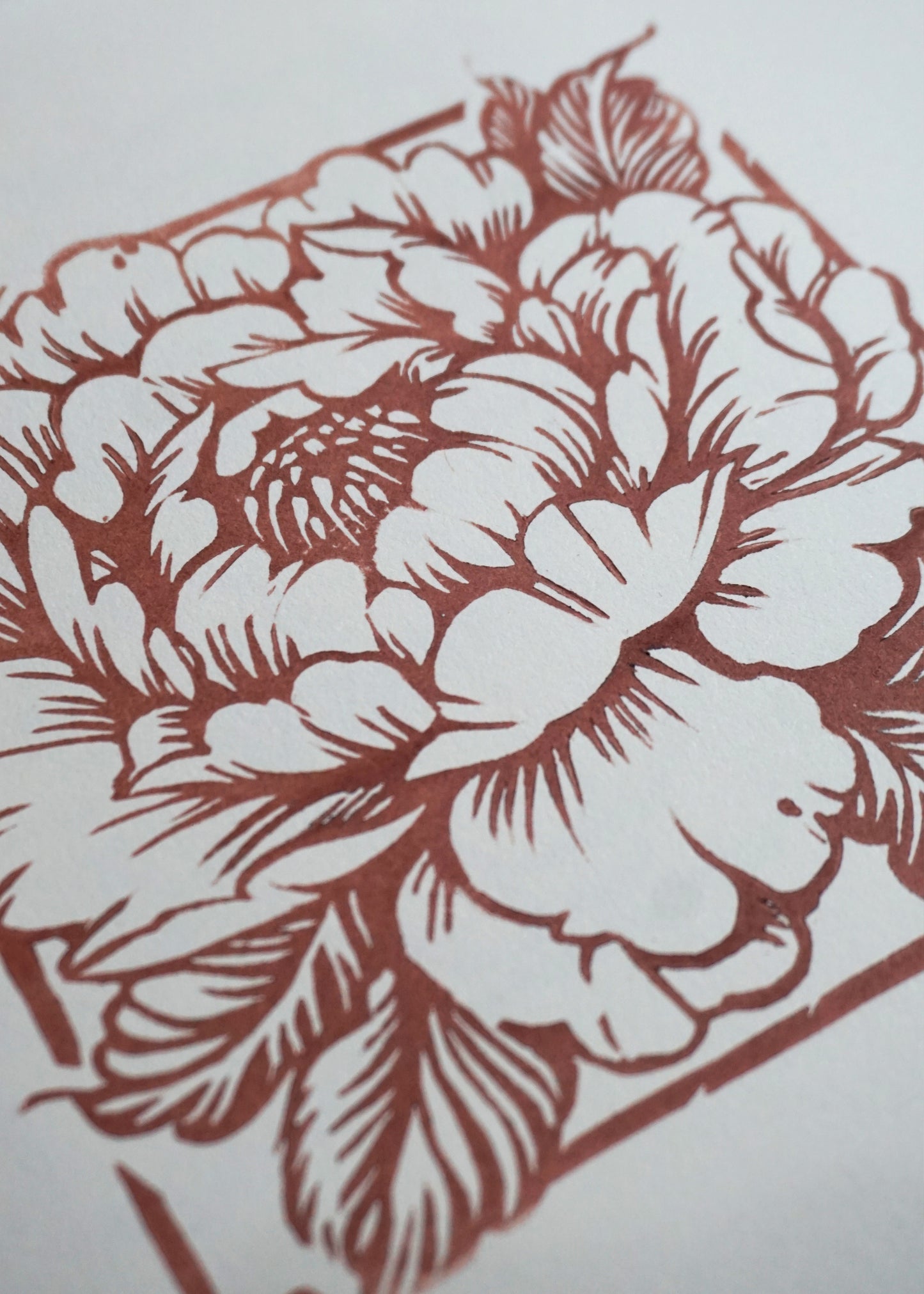 Grabado #6 - Peony