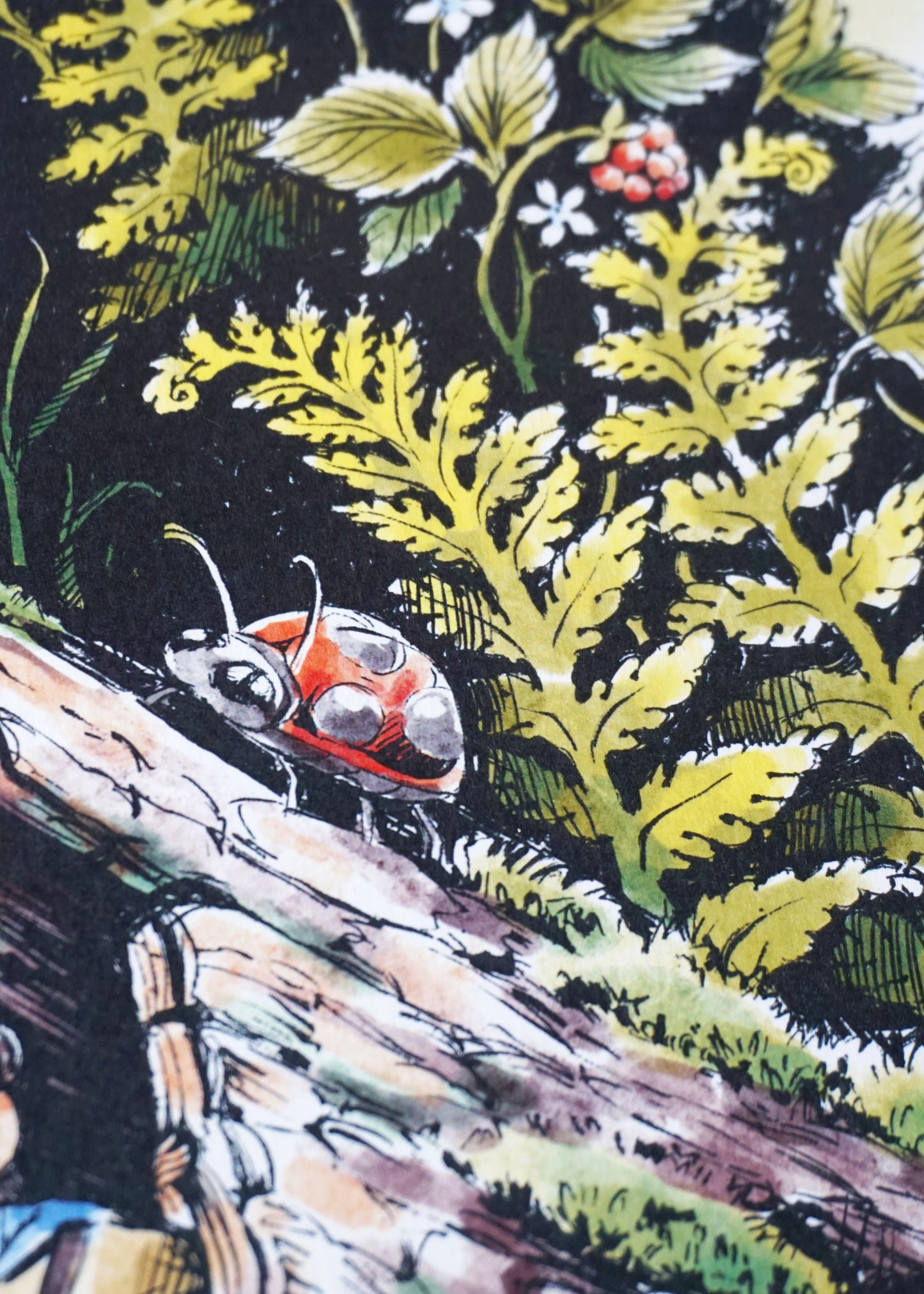 Print | Marta and the ladybug